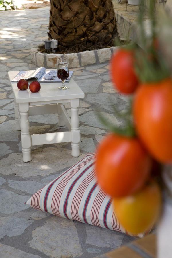 Isalos Vasiliki Exterior foto